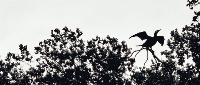 « Ici, le vent je suis. »