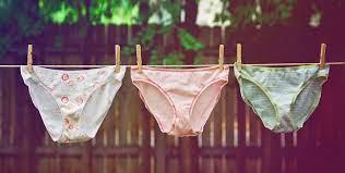 Culotte