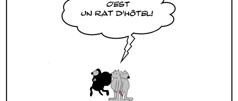Rat d'hôtel