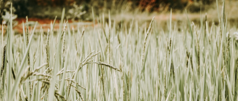 La malédiction des tombeaux - Partie 1