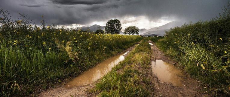 Un air de grisaille dans la tête...