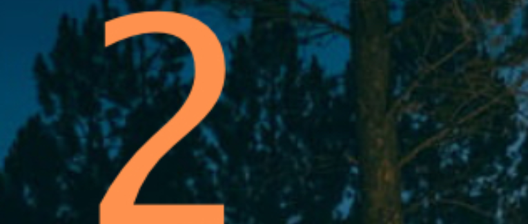 Case 2: 💫 La lueur au cœur des arbres