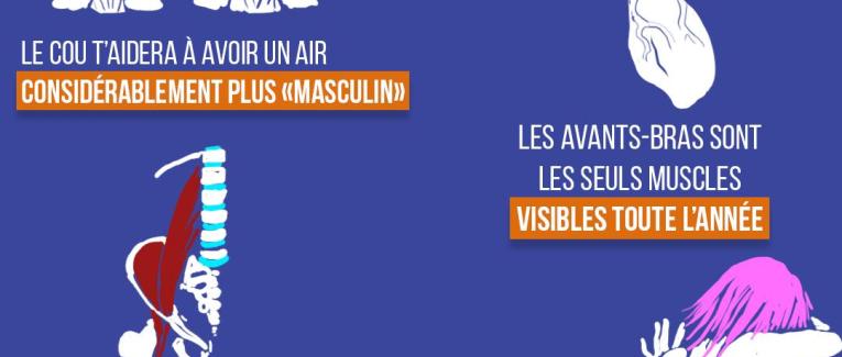 Les muscles négligés