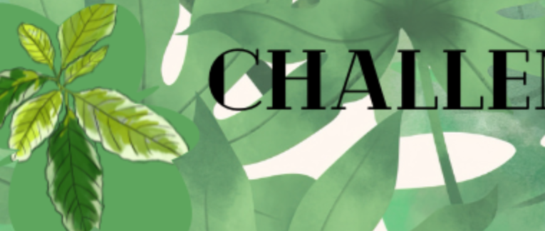Challenge - Jalap