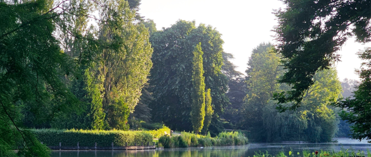L'éveil des Gardiens