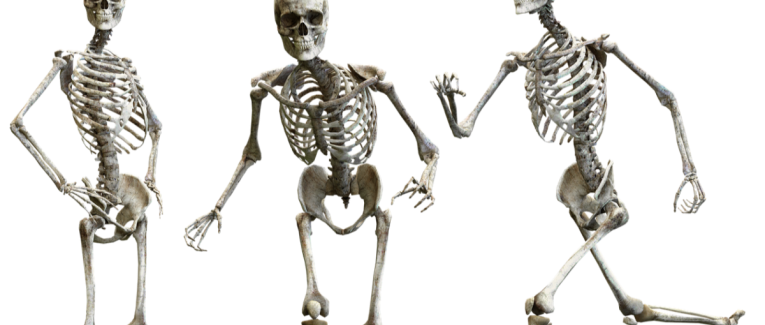 28 - Squelettique (challenge #Linktober2025)