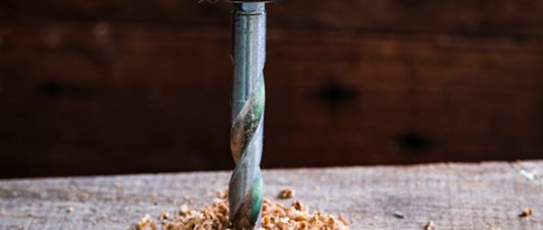 Termite
