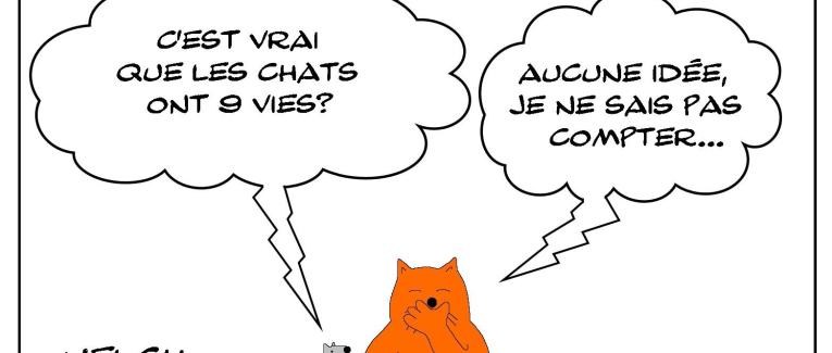 les 9 vies du chat?
