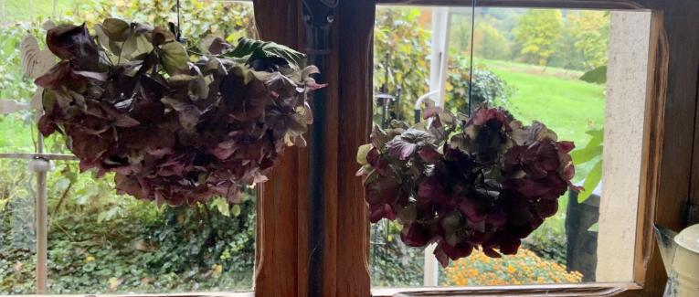 Le jardin mouillé du 23 Octobre