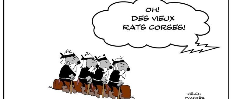 Vieux rats corses - clin d'oeil à Uderzo