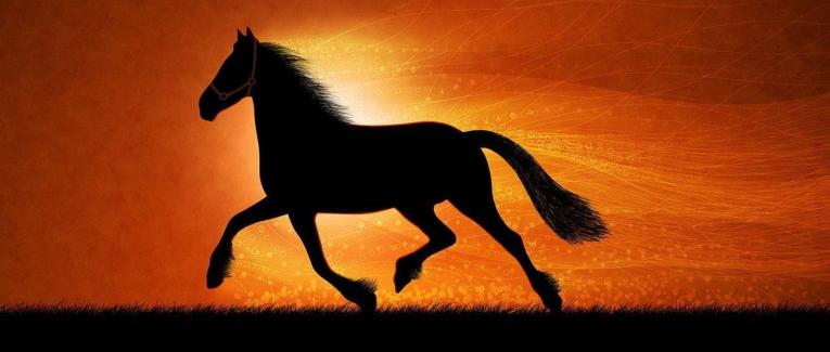 Le Cheval et l'Enfant