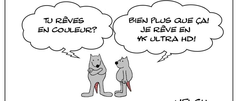 Le rat qui rêvait plus qu'en couleur