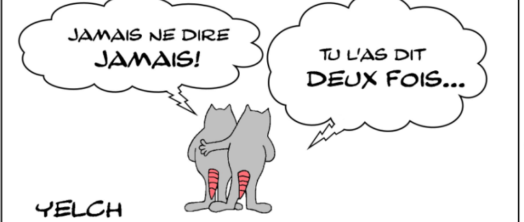 JAMAIS NE DIRE JAMAIS