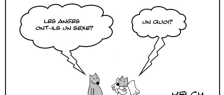 Le sexe des anges