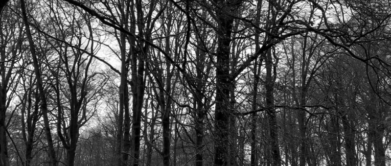 Imbolc, la flamme des Ancêtres