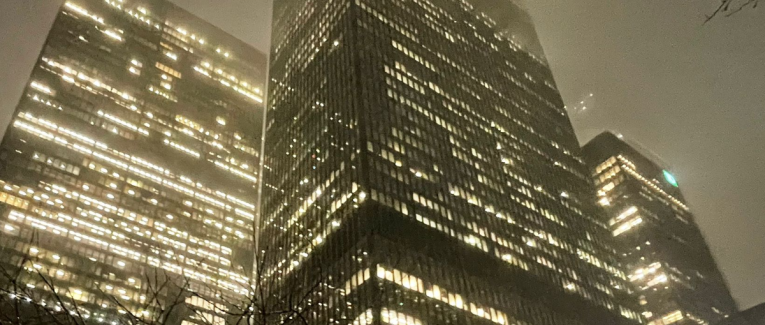 LA TACTIQUE DU ROSEAU