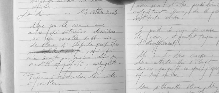 Petits papiers volants : journal d'écriture 2003-2018