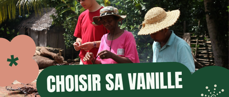 Le Guide Ultime de la Vanille : De l'Orchidée à la Gousse, Tout Comprendre sur la vanille