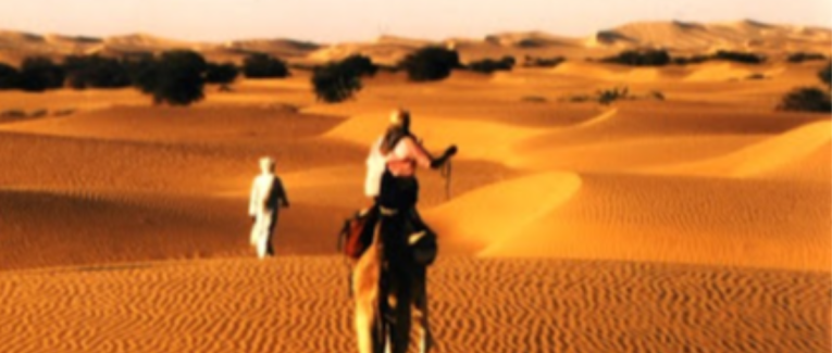 Poésie : Un désir nommé désert