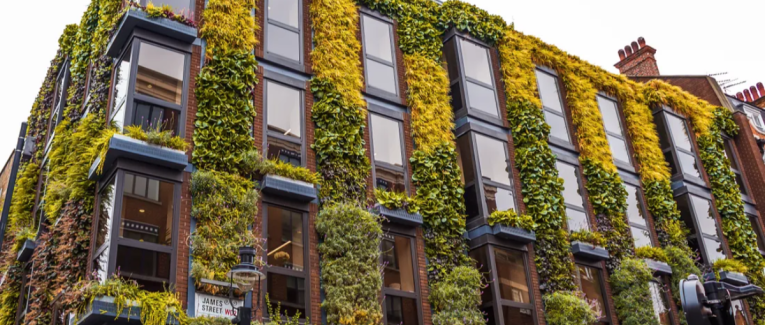 Embracing Greenery in Small Spaces