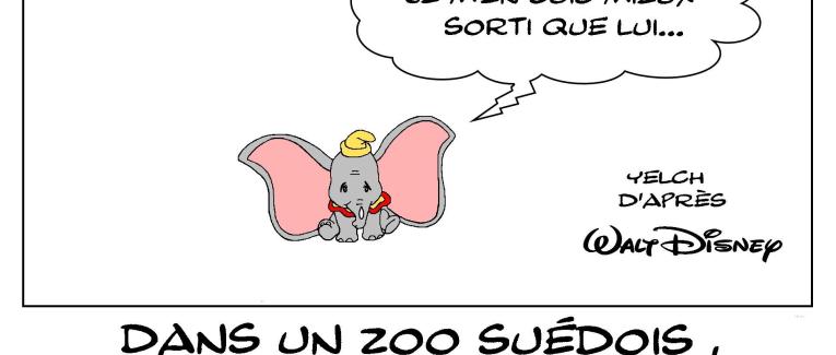 Dumbo a  finalement eu de la chance...
