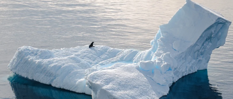 Iceberg