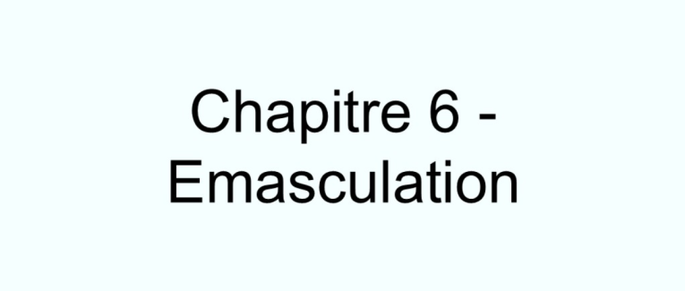 Chapitre 6 - Emasculation