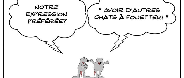 Les rats qui aimaient fouetter les chats