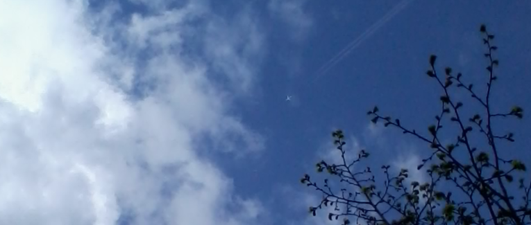Symbolique du papillon (1) : Envol