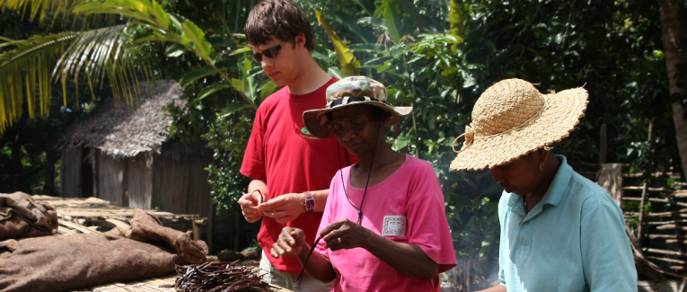 L'Épopée Oubliée de la Vanille : De la Gousse Noire Sacrée du Mexique à l'Arôme Bourbon de Madagascar