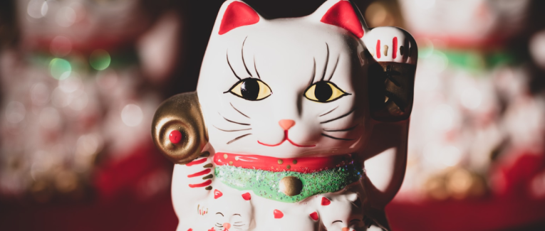 猫