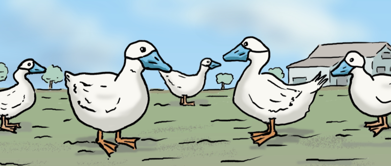 Alerte grippe aviaire !