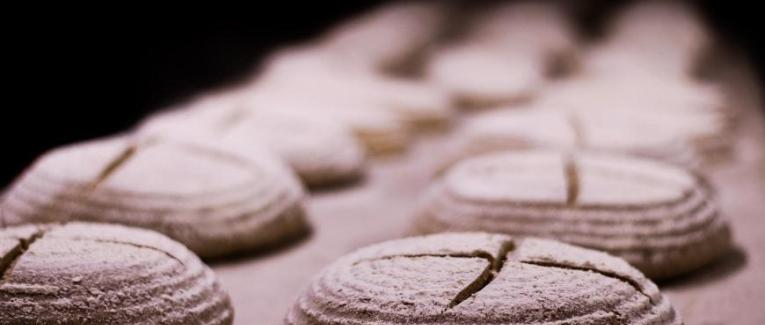 Chapitre 25 Une révélation