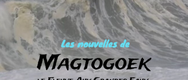 Les nouvelles de Magtogoek #3