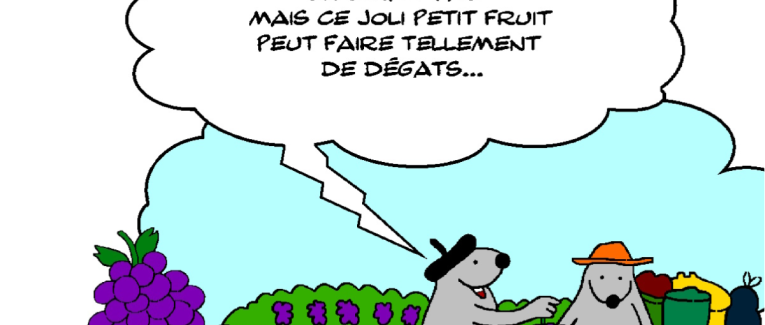 RATPSODIES  - SUMMER 2024 - 31