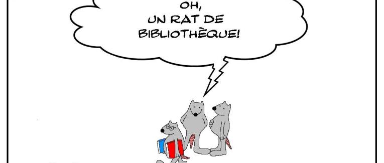 Rat de bibliothèque