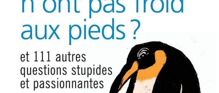 Pourquoi les manchots n'ont pas froid aux pieds ?