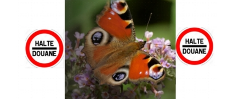 frontières de folie