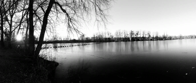 Chronique N°1 : Le Bonheur à 3 balles (ou la théorie de la grenouille)
