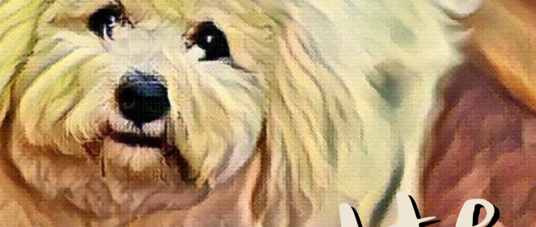 Pépette