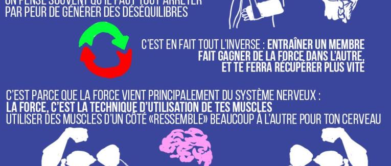 Entraîner un membre fait prendre de la force dans l'autre ?!