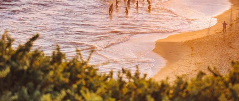 Covid-19 : plages interdites !