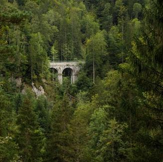 Chapitre 5 Une rencontre intéressante