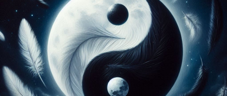 Les plumes funambules ...