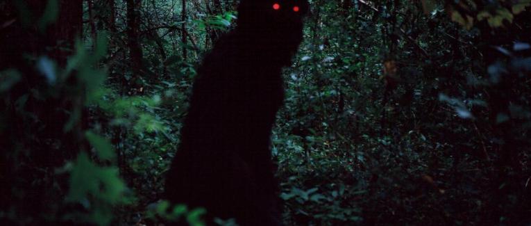 Oncle Boonmee, celui qui se souvient de ses vies antérieures (LOONG BOONMEE RALEUK CHAAT, Apichatpong WEERASETHAKUL (2010)