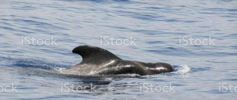 Chapitre 14 Valérie se prend en main