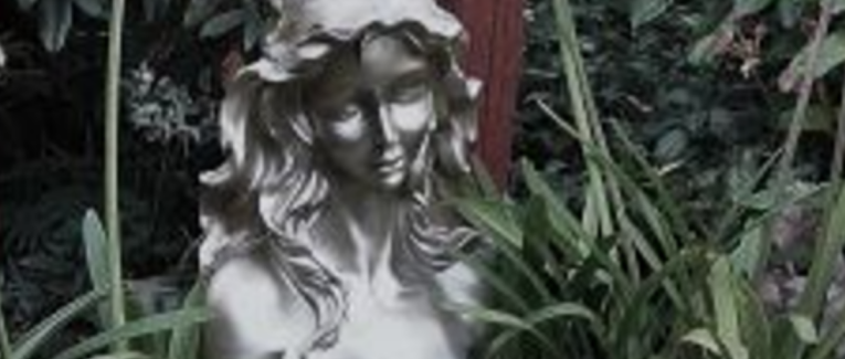 Entre le fer et la feuille