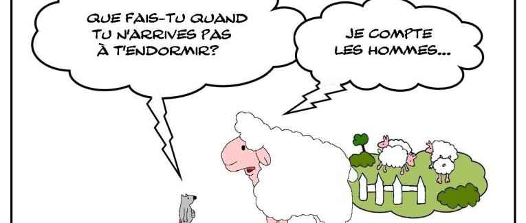 Quand les moutons dorment