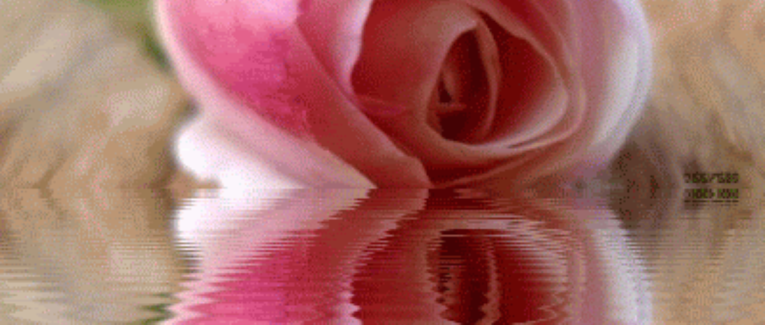 Une grande et belle Dame s'en est allée...