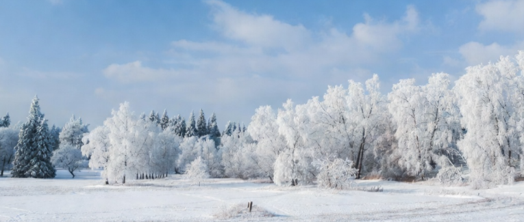 La neige qui illumine